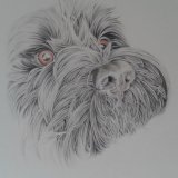 Fiona Dog SOLD