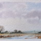 Flooded Fields