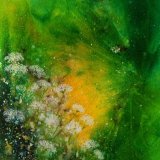 Cow Parsley SOLD