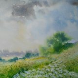 Drift of Cow Parsley SOLD