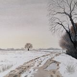 Snowy Track