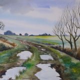 Lots of Puddles