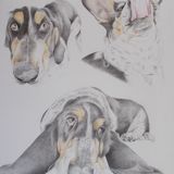 Mungo II SOLD
