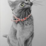 Pepper the Cat SOLD