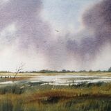 Saltmarsh, Gibraltar Point
