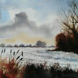 The Field Edge in Winter