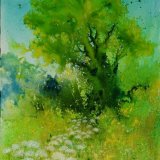 Tree and Cow Parsley