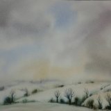 Winter Hedgerows