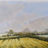 Yellow Fields near Rauceby