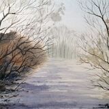 a walk through the trees in the snow