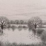 flooded fields