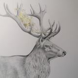 flower power. red deer stag