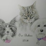 Our Babies SOLD