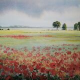 poppy field