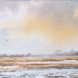 snowy field