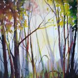 the light through the trees