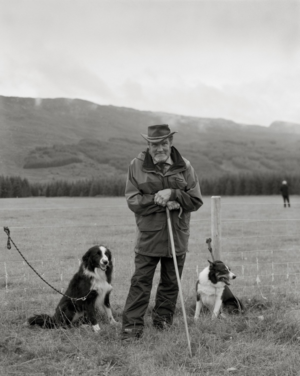 26 Sheepdog trial, Strathcarron