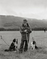 26 Sheepdog trial, Strathcarron