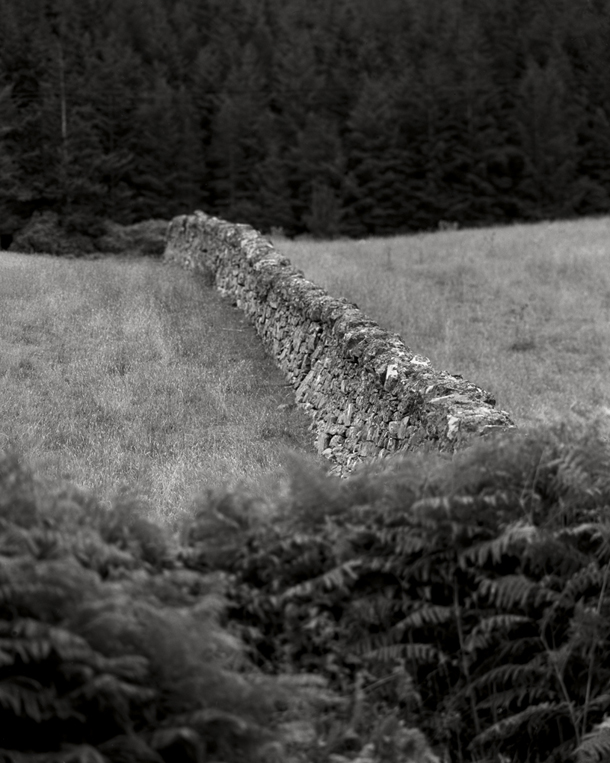 29 Dyke, Loch Broom.