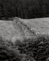 29 Dyke, Loch Broom.