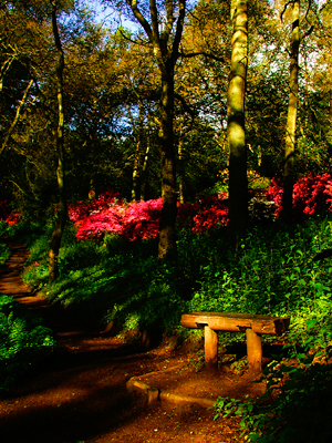 BENCH