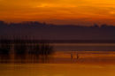 Bewl Water Dawn