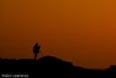 The Photographer