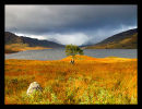 Loch Arklet