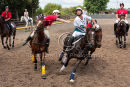 Horseball