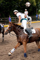 Horseball