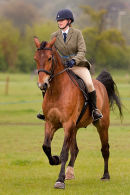 Ware Riding Club