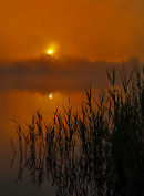 Sunrise-at-Frensham