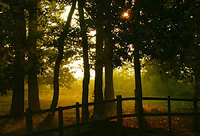 TIME AND LIGHT