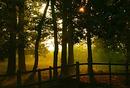 TIME AND LIGHT