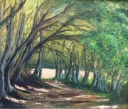 Pochard towards the car park