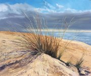 Dune grasses
