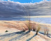 Dune grasses 2