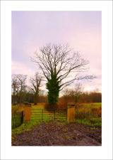 GATE & TREE