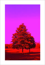 RED TREE