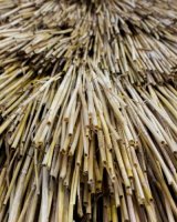 Neolithic Houses EH 19-03-14 (15)