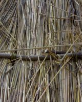 Neolithic Houses EH 19-03-14 (7)