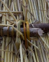 Neolithic Houses EH 19-03-14 (8)