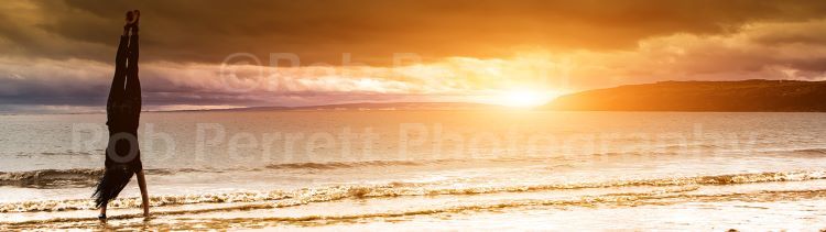Twitter Header