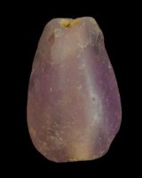 WA Small Finds 1 (8)