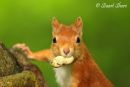 'Caught in the act'