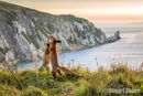 'Playtime at the Needles'