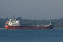 Baltic Claire