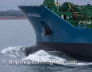 Bow Wave