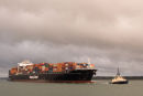 Houston Express