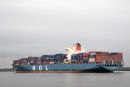 MOL Celebration